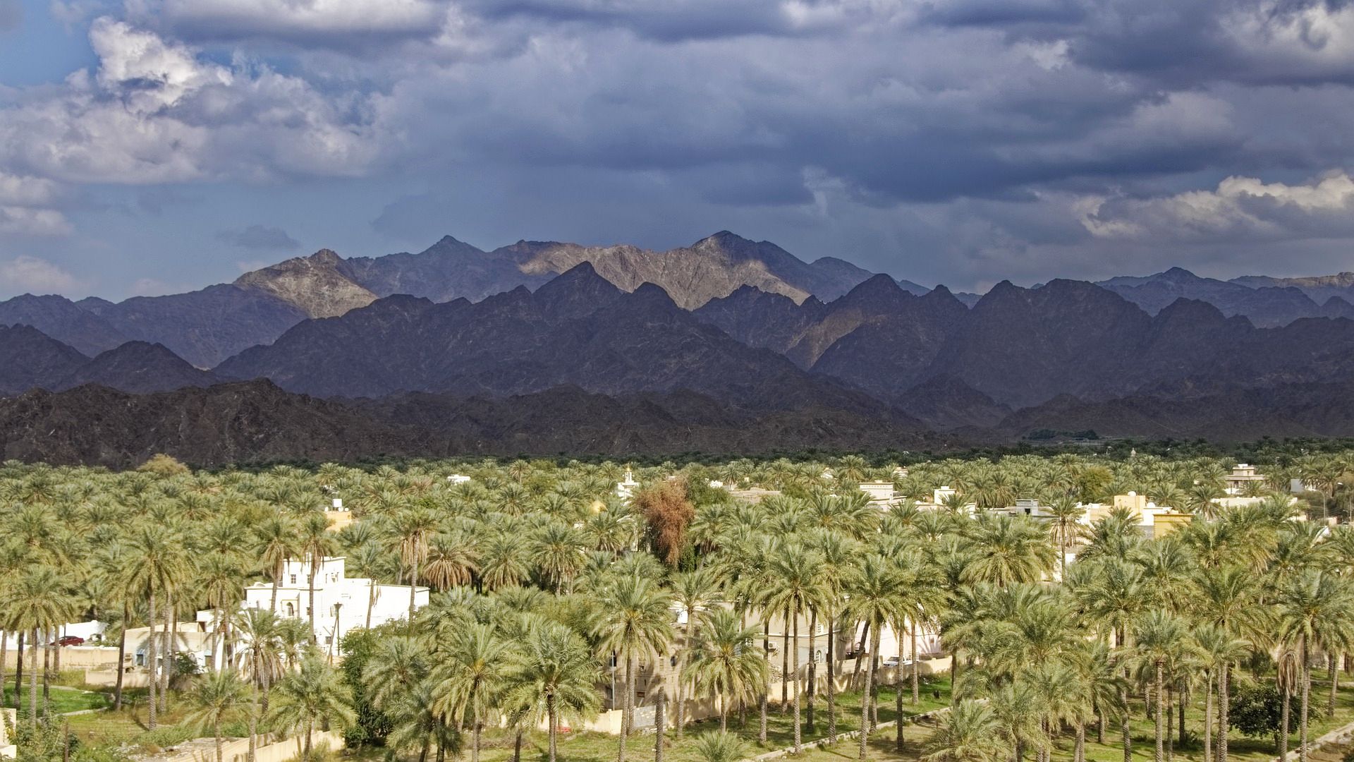 Oman Fotos Neu 2000 px 030