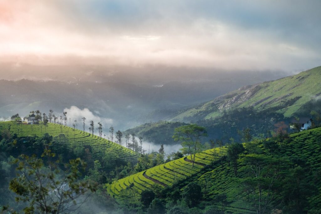 Indien_Kerala_Slider_Neu_2000px_065